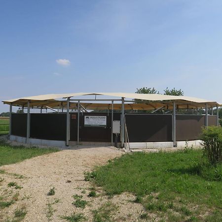 Holiday Home Domus Magna-3 By Interhome Povoletto Exterior photo